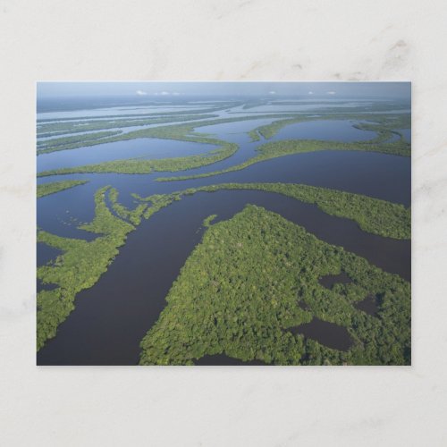 Aerial of Anavilhanas Archipelago Flooded Postcard