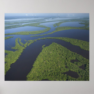 Aerial of Anavilhanas Archipelago, Flooded Poster