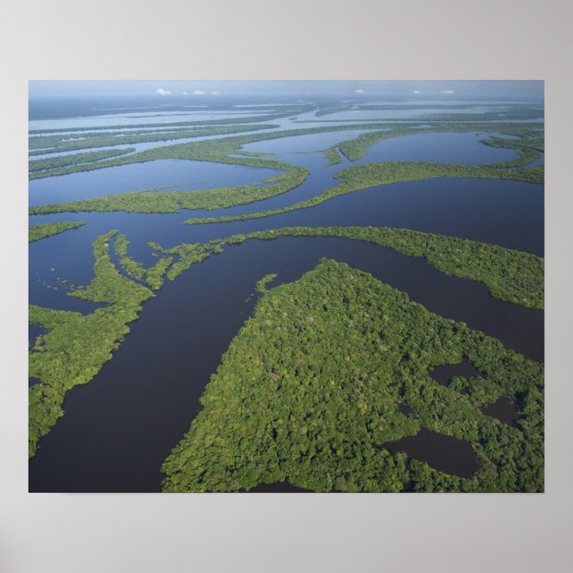 Aerial of Anavilhanas Archipelago, Flooded Poster (Front)