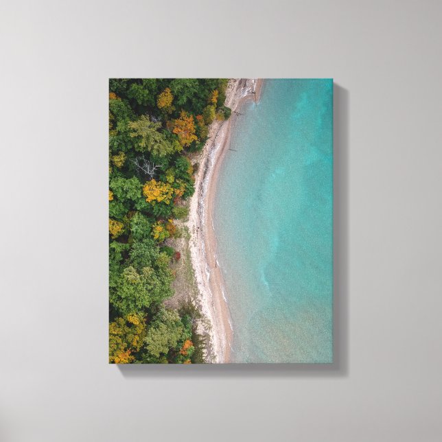 aerial photography of beach canvas print (Front)