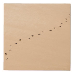 Aerial photography of footprints in the sand faux canvas print