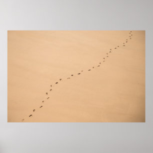 Aerial photography of footprints in the sand poster