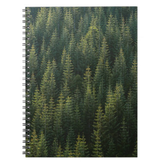 AERIAL PHOTOGRAPHY OF FOREST NOTEBOOK