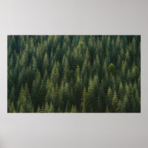 AERIAL PHOTOGRAPHY OF FOREST POSTER