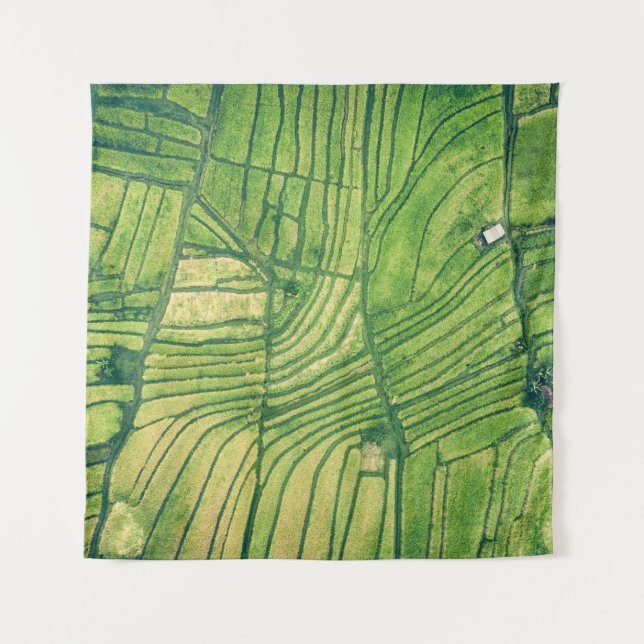 Aerial photography of green farm field tapestry (Front)