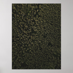 Aerial photography of tall green trees poster