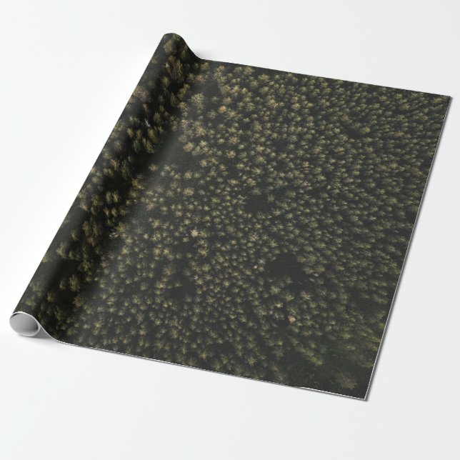 Aerial photography of tall green trees wrapping paper (Unrolled)