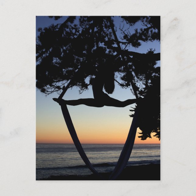 Aerial Silk Silhouette Postcard (Front)