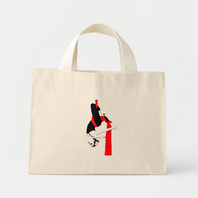 Aerial Silks Bag (Front)