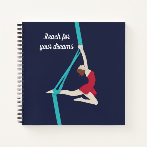 Aerial Silks Notebook