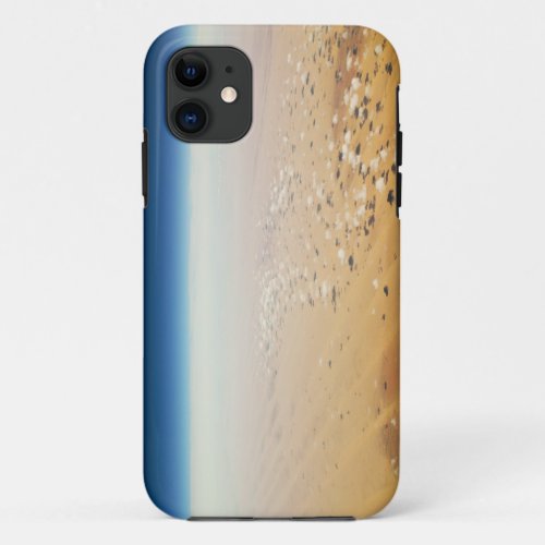 Aerial view of a desert iPhone 11 case
