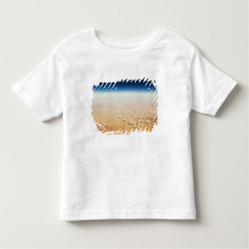 Aerial view of a desert toddler t_shirt
