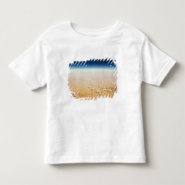 Aerial view of a desert toddler t-shirt (Front)