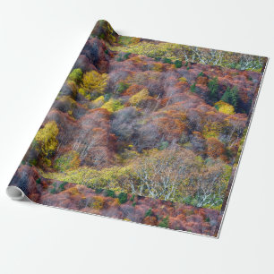 Aerial View of Autumn forest Colorful Trees Wrapping Paper