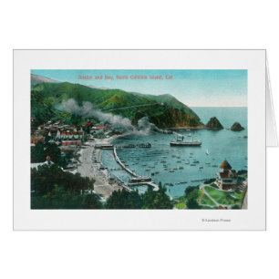 Aerial View of Avalon and Bay Cards