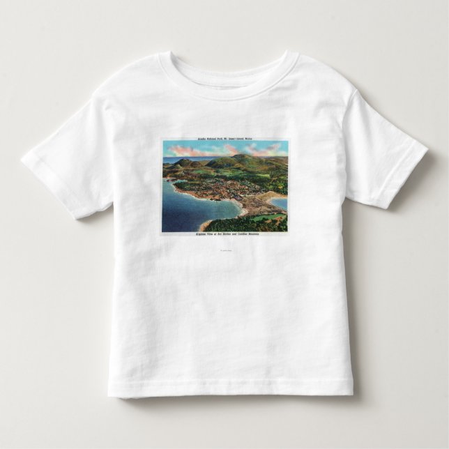 Aerial View of Bar Harbor and Cadillac Toddler T-shirt (Front)