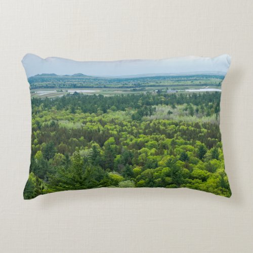 Aerial View of Black River State Forest Accent Pillow