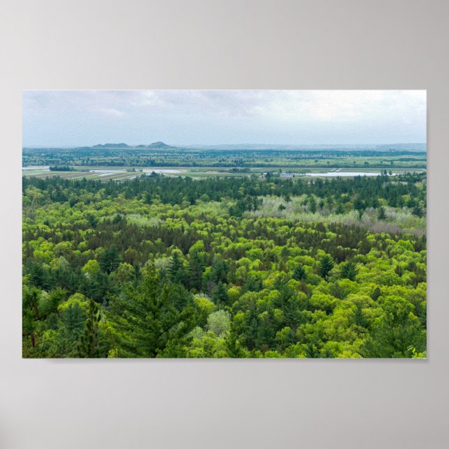 Aerial View of Black River State Forest Poster (Front)
