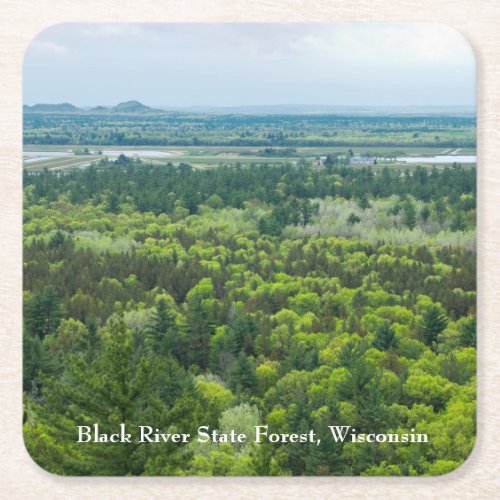 Aerial View of Black River State Forest Square Paper Coaster