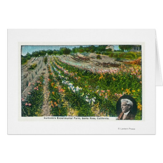 Aerial View of Burbanks Experimental Farm Cards (Front Horizontal)