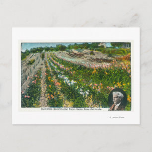 Aerial View of Burbanks Experimental Farm Postcard