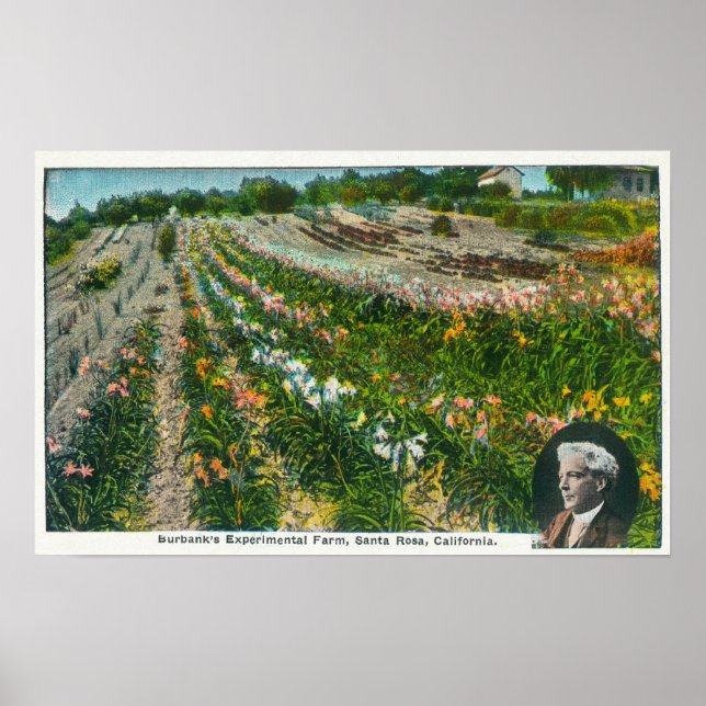 Aerial View of Burbanks Experimental Farm Poster (Front)