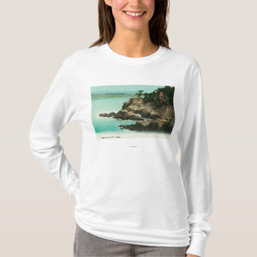 Aerial View of Eagle Dome at Point Lobos T_Shirt