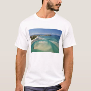 Aerial view of estuary, Sawyer Bay, Stanley and T-Shirt