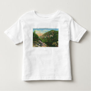 Aerial View of Fish Creek Grounds, Saranac Inn Toddler T-shirt