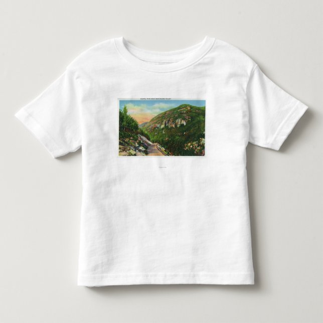 Aerial View of Fish Creek Grounds, Saranac Inn Toddler T-shirt (Front)