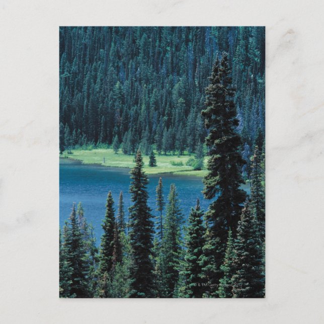 Aerial view of Grand Teton National Park , Postcard (Front)