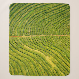 Aerial view of green open field sherpa blanket
