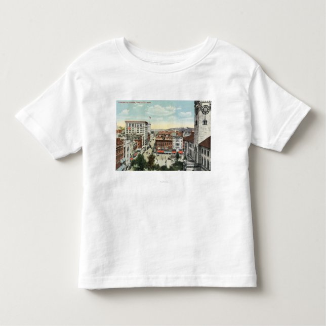 Aerial View of Harrington Corner Toddler T-shirt (Front)