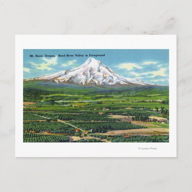 Aerial View of Hood River Valley and Mountain Postcard (Front)