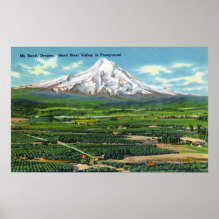 Aerial View of Hood River Valley and Mountain Poster
