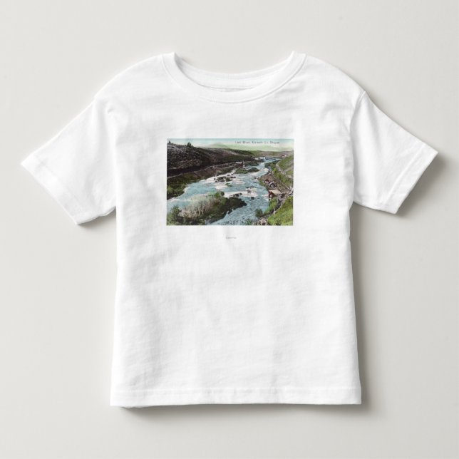 Aerial View of Link RiverKlamath County, OR Toddler T-shirt (Front)