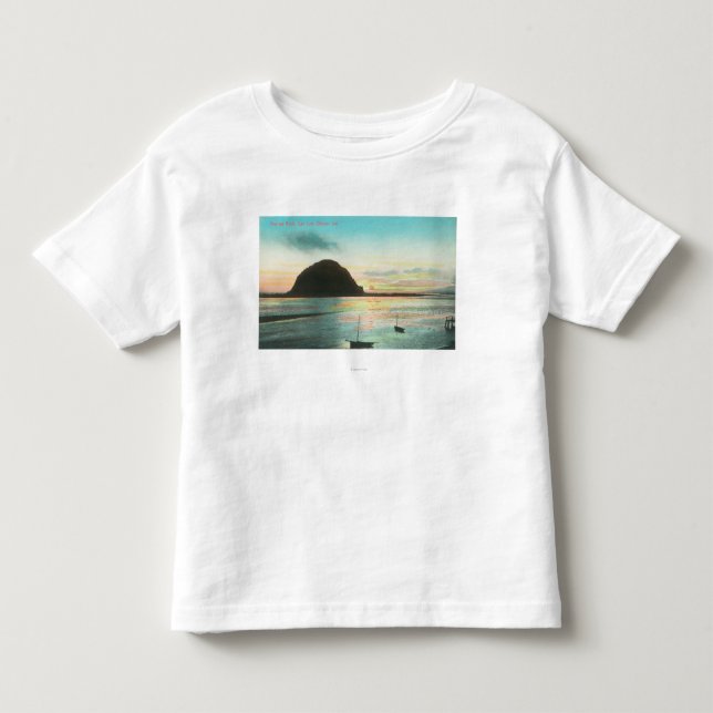 Aerial View of Morrow Rock and the Bay Toddler T-shirt (Front)