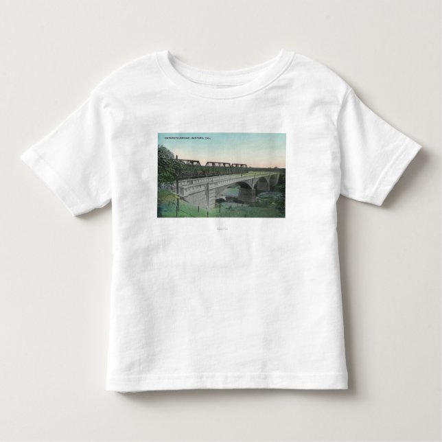 Aerial View of Putah Creek BridgeWinters, CA Toddler T-shirt (Front)