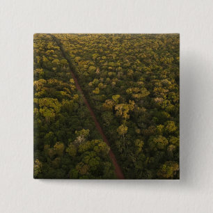 Aerial View of rainforest. Iwokrama Reserve, 2 Pinback Button