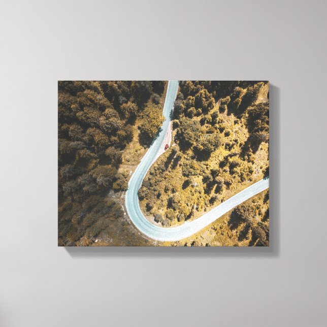 aerial view of road between forest canvas print (Front)