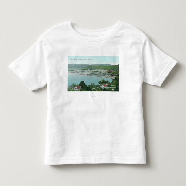 Aerial View of Sulphur Banks Quicksilver Mine Toddler T-shirt (Front)