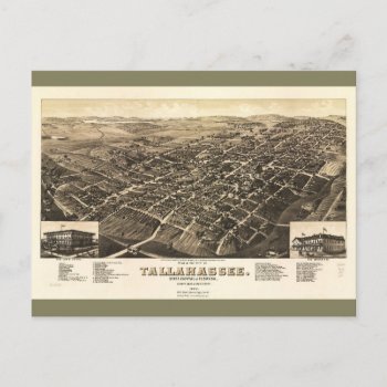 Aerial View Of Tallahassee  Florida (1885) Postcard by TheArts at Zazzle