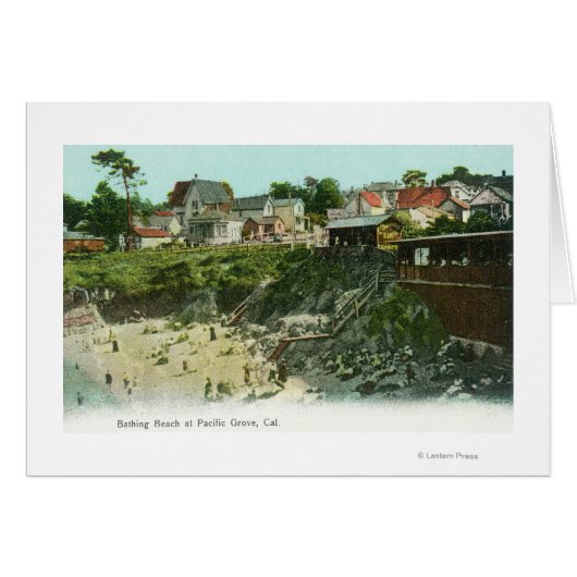 Aerial View of the Bathing Beach Cards (Front Horizontal)