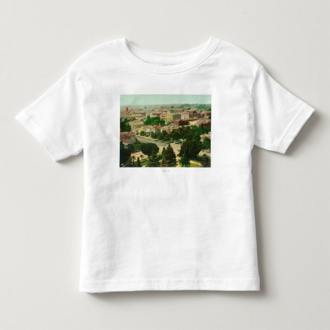Aerial View of the City Toddler T-shirt (Front)