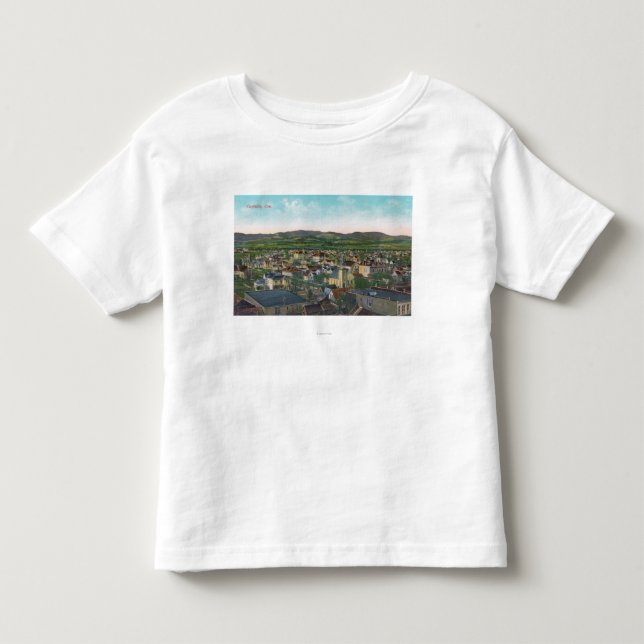 Aerial View of the CityCorvallis, OR Toddler T-shirt (Front)