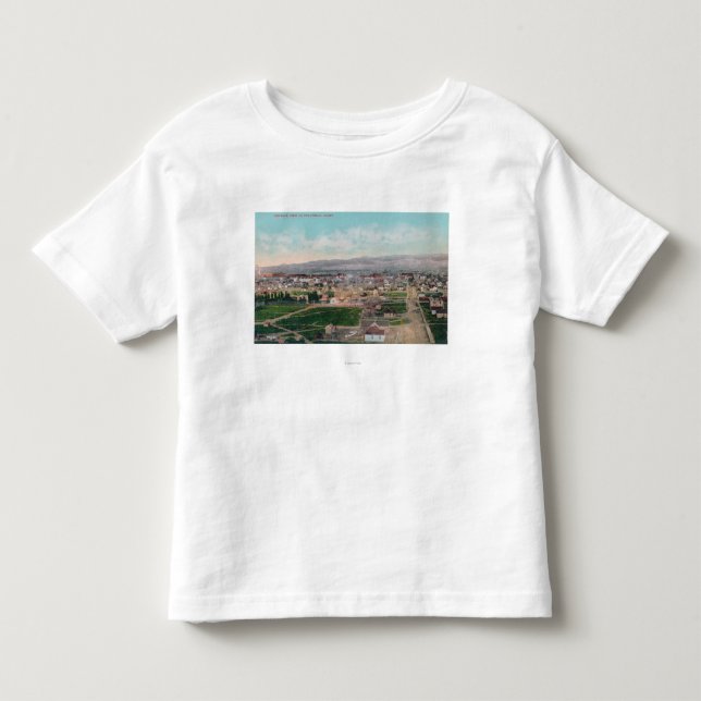 Aerial View of the CityPocatello, ID Toddler T-shirt (Front)