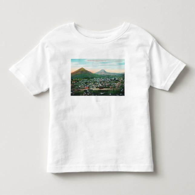 Aerial View of the CitySan Luis Obispo, CA Toddler T-shirt (Front)