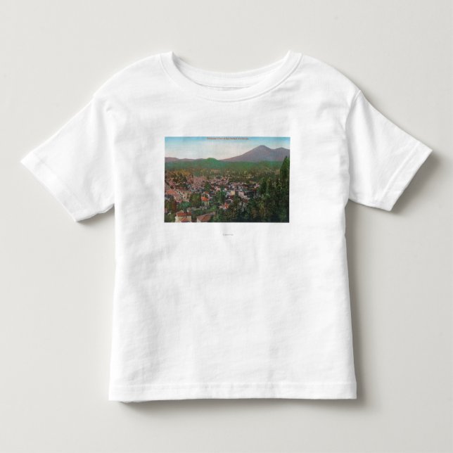Aerial View of the CitySan Rafael, CA Toddler T-shirt (Front)