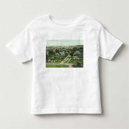 Aerial View of the CitySanta Cruz CA Toddler T_shirt