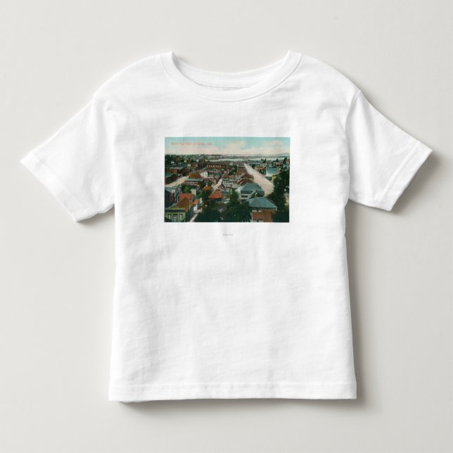 Aerial View of the CityVallejo, CA Toddler T-shirt (Front)
